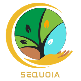 Sequoia